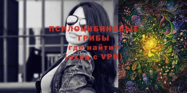 гидропоника Алзамай