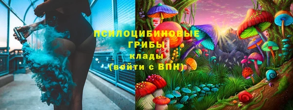 бошки Алексеевка
