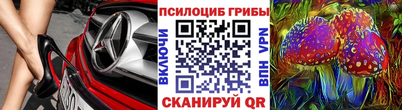 Галлюциногенные грибы Cubensis  Обнинск 